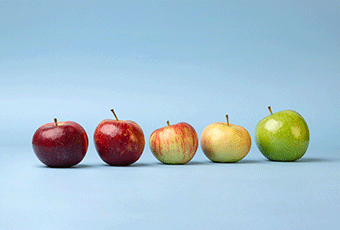 where I can found the sound in this video template?