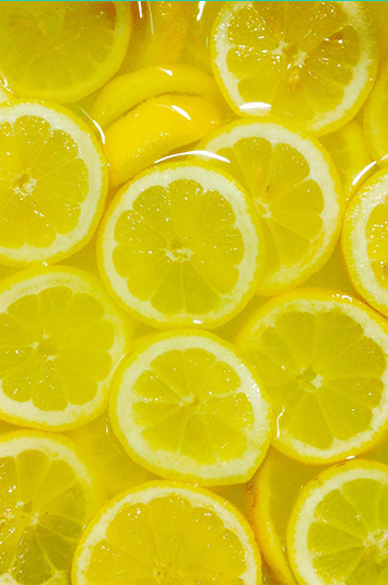 where I can found the sound in this video template?